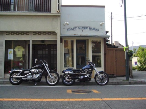 rP1030681.jpg