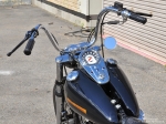 g_1997flstc04.jpg