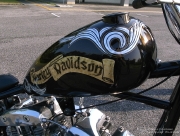 g_77fx07.jpg
