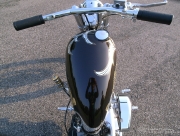 g_77fx09.jpg