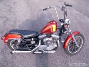 g_95xlh07.jpg