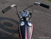 g_69flh07.jpg
