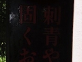 1108tym20.jpg