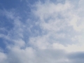 1108tym36.jpg