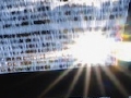 1108tym55.jpg