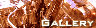 383_115gallery.jpg