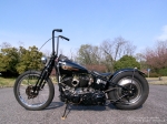 g_39u02.jpg