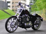 2012xl1200v_09.jpg