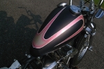 g_69flh08.jpg