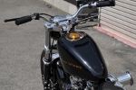 g_68fxvr09.jpg
